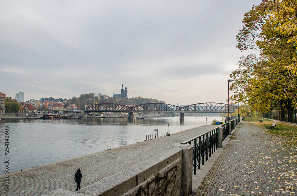 Obraz premium The Vltava river, The Vltava river, Charles bridge and white swans in Prague, Czech Republic in Prague, Czech Republic