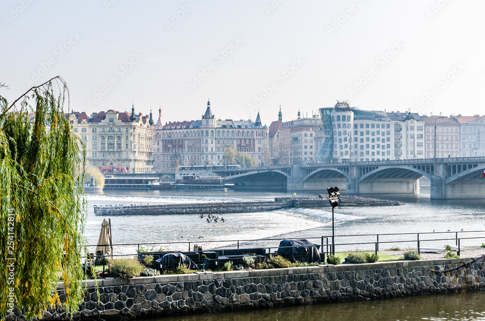 Naklejka premium The Vltava river, The Vltava river, Charles bridge and white swans in Prague, Czech Republic in Prague, Czech Republic