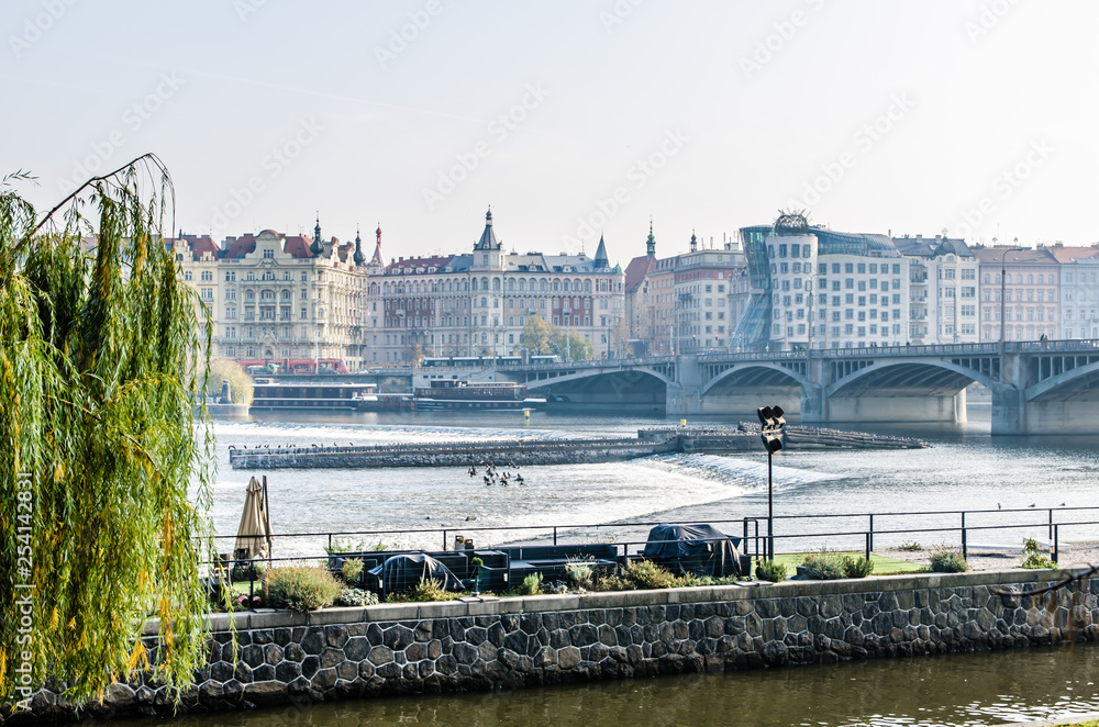 Naklejka premium The Vltava river, The Vltava river, Charles bridge and white swans in Prague, Czech Republic in Prague, Czech Republic
