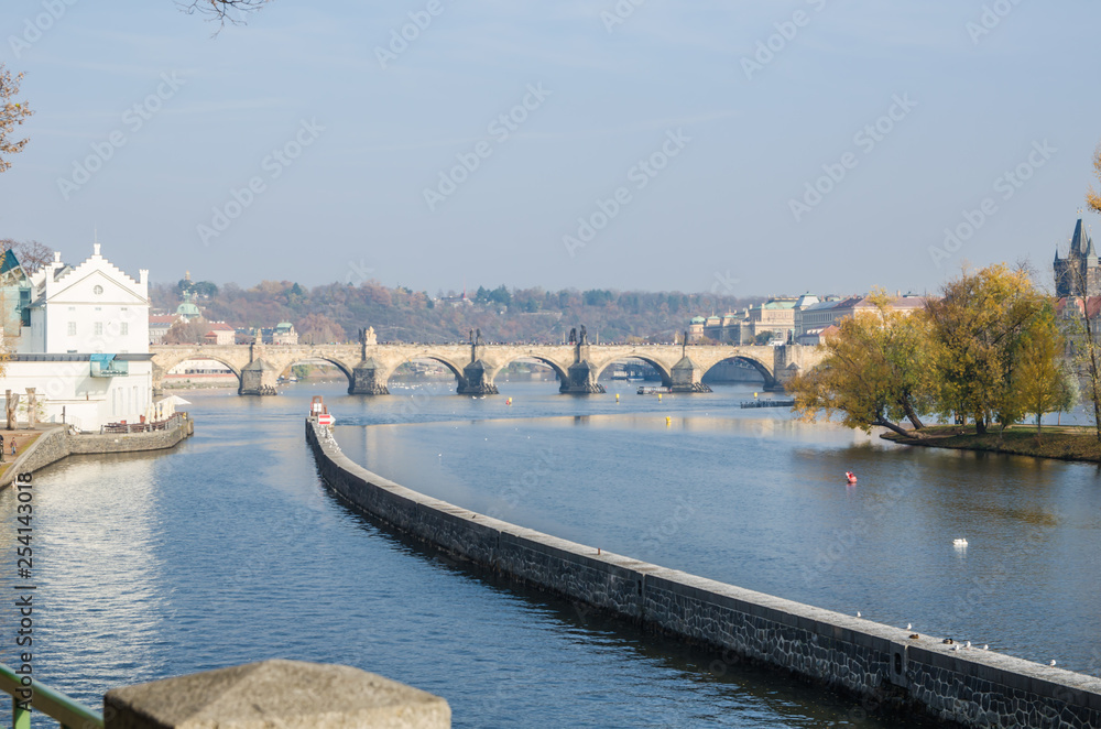 Obraz premium The Vltava river, The Vltava river, Charles bridge and white swans in Prague, Czech Republic in Prague, Czech Republic