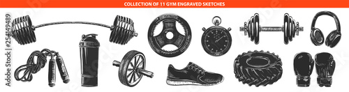 Vector engraved style gym and workout collection for posters, decoration and print. Hand drawn sketches of in monochrome isolated on white background. Detailed vintage woodcut style drawing.