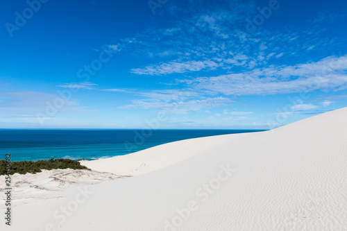 De hoop nature reserve white dunes and crystal clear waters of the Indian ocean