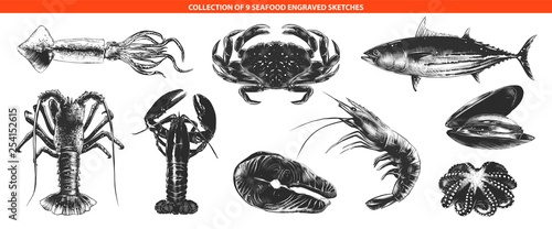 Vector engraved style sea food collection for posters, decoration and print, logo. Hand drawn sketches of in monochrome isolated on white background. Detailed vintage woodcut style drawing.