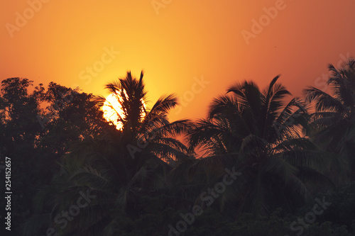 Palm tree silhouette on paradise sunset