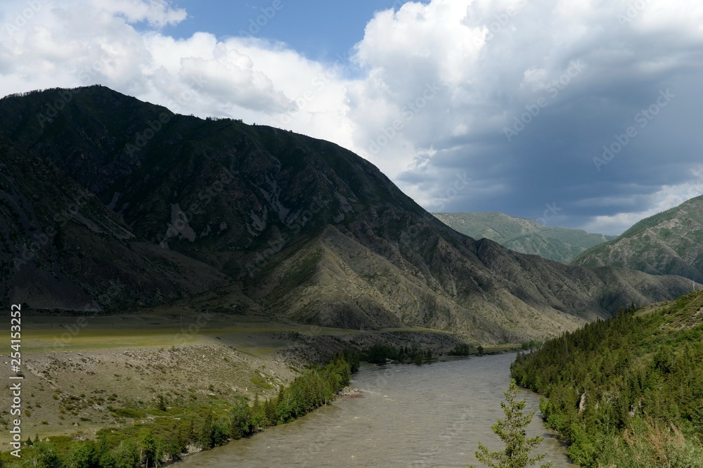Fototapeta premium Mountain river Katun in onguday district of the Republic of Altai. Western Siberia