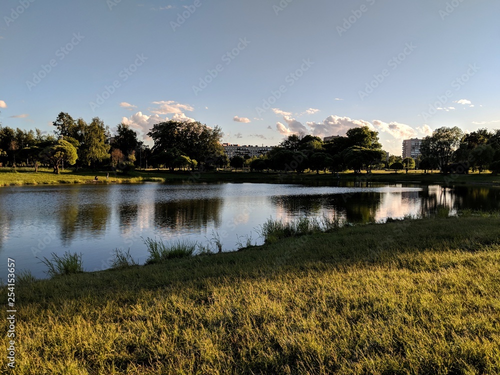 Fototapeta premium lake in the park