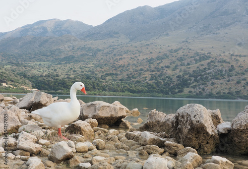 Greece Crete island Kourna Lake photo