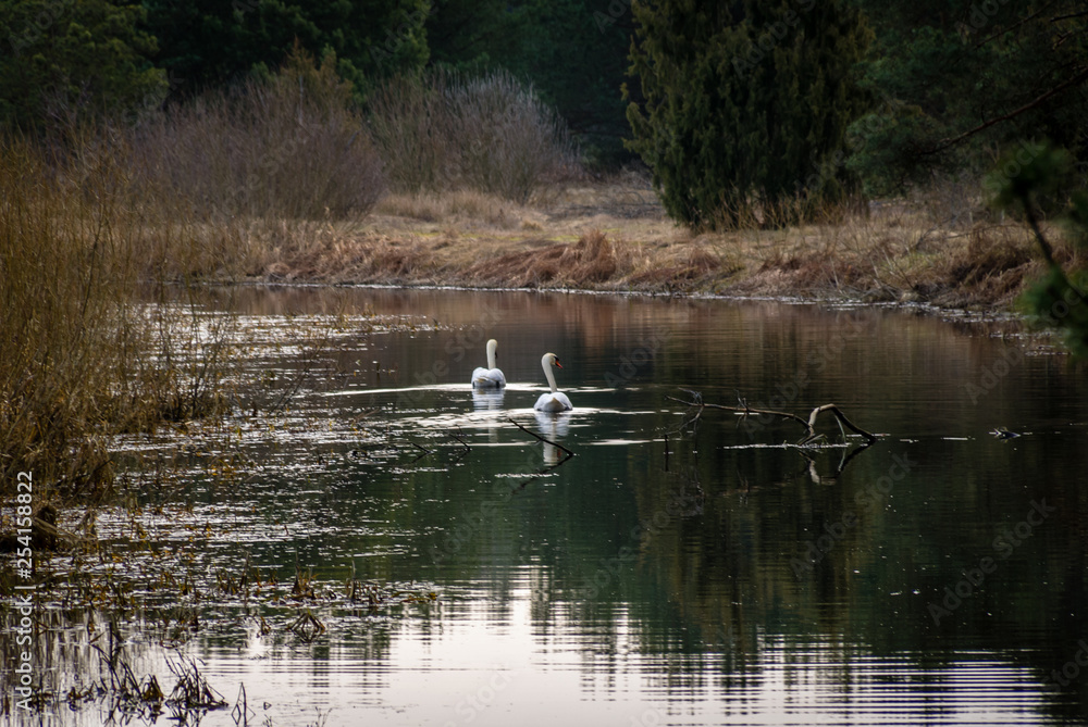 Dolina Górnej Narwi. Wiosna nad Narwią. Natura 2000 Dolina Górnej Narwi. Wiosna nad Narwią. Natura 2000