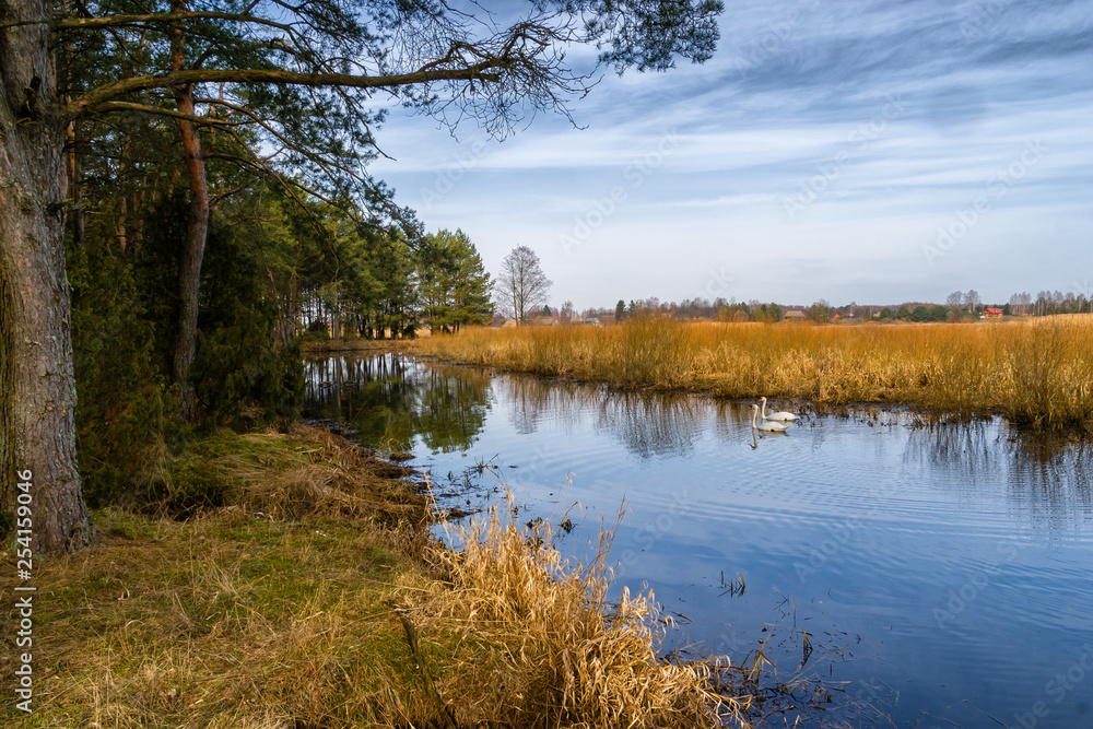 Fototapeta premium Dolina Górnej Narwi. Wiosna nad Narwią. Natura 2000