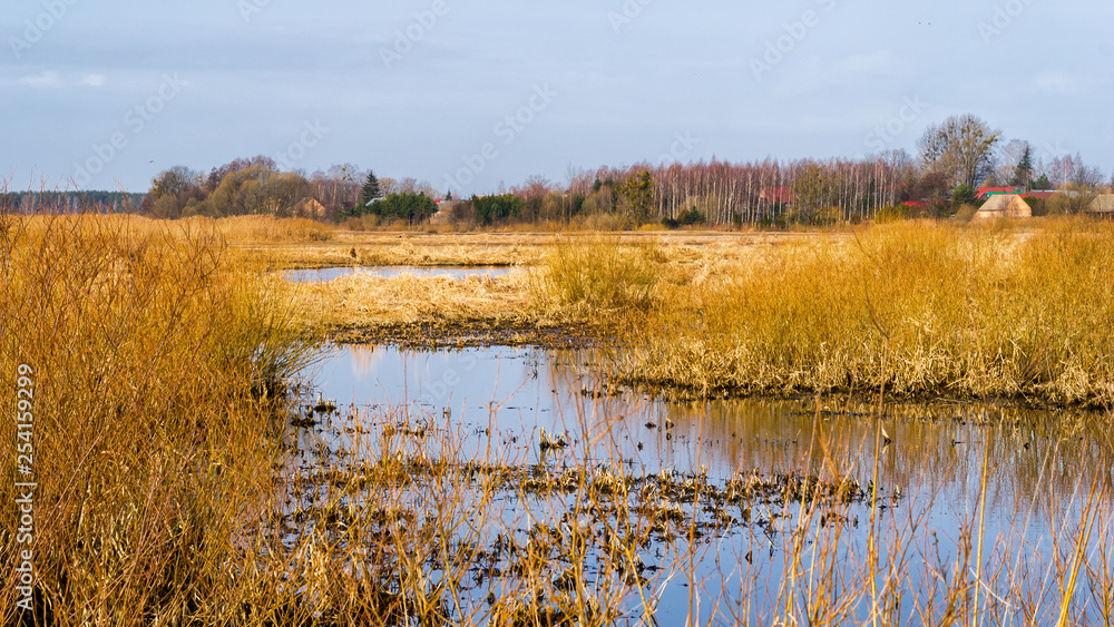 Dolina Górnej Narwi. Wiosna nad Narwią. Natura 2000