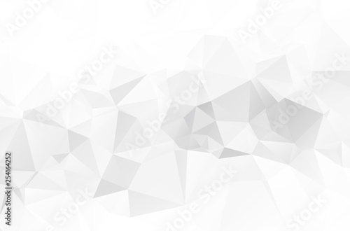 Gray White polygonal illustration  which consist of triangles. Geometric background in Origami style with gradient. Triangular design for your business.