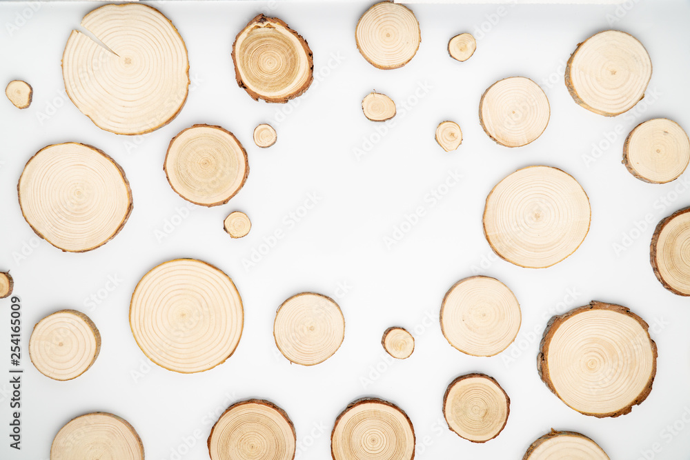 Pine tree cross-sections with annual rings on white background. Lumber piece close-up shot, top view. Pine tree cross-sections with annual rings on white background. Lumber piece close-up shot, top view.
