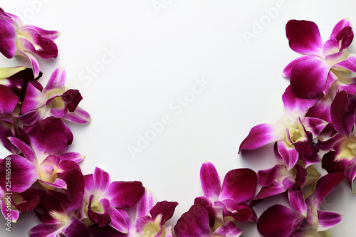 Frame from orcid flower on a white background with copy-space for text.