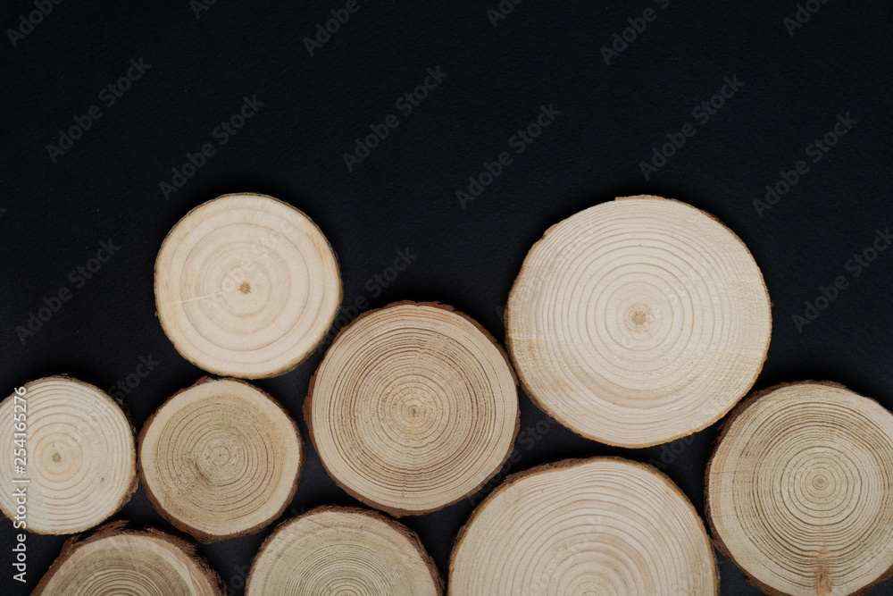 Pine tree cross-sections with annual rings on black background. Lumber piece close-up shot, top view. Pine tree cross-sections with annual rings on black background. Lumber piece close-up shot, top view.