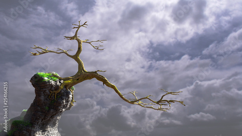 old tree growing on a rock, fairy tale landscape, fantasy background  photo