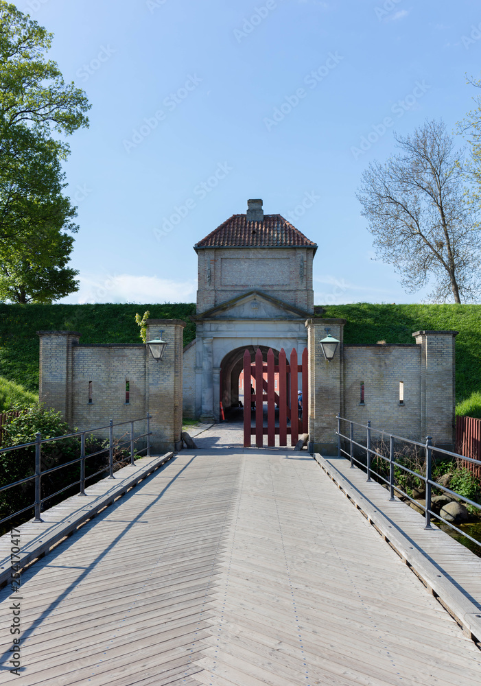 Fototapeta premium Copenhague