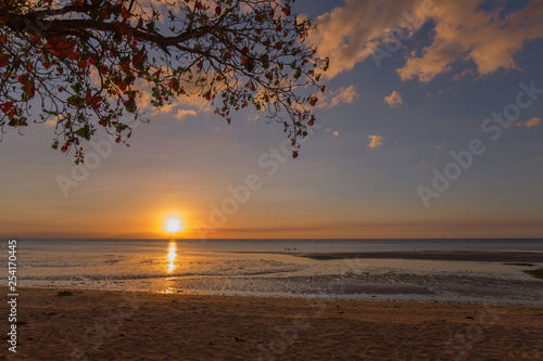 sunset at a beach, a branch and clouds are colored and sun lighted the sea in low tide, a tranquil scene in a summer evening vacation mood 