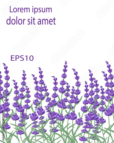 Lavender background with copy space for your text. Flower brochure. Mockup for design. Vector eps10. 
