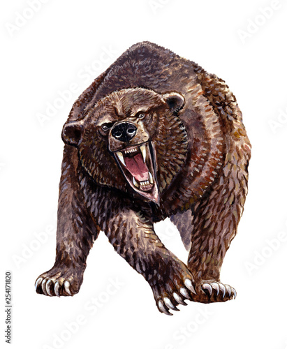 Cuadro en lienzo Cave bear illustration. Grizzly bear attack.