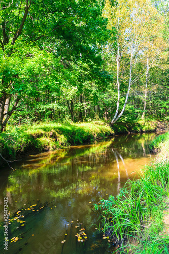 Colorful  Sunny  summer landscape  view of the river flowing in the forest. Vertical orientation.