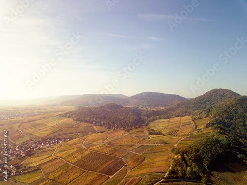 Wiene fields landsape palatine autumn photo