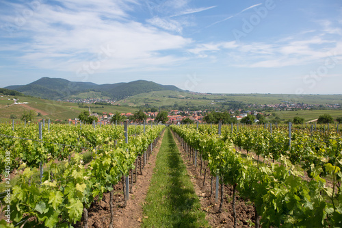 Rine Valley gemany palatine