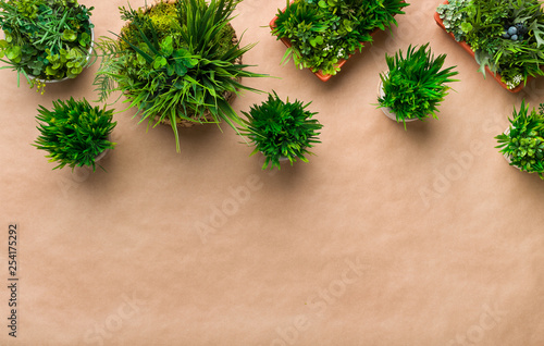 Border of decorative plants in pots on craft paper background