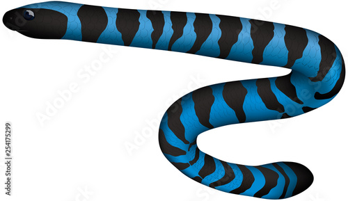 エラブウミヘビ