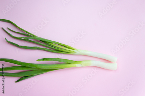 Young Green Onions  Young Green Onions  pink background