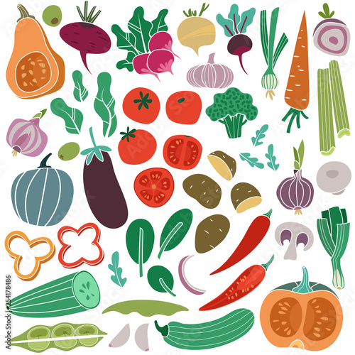 Color vegetables hand drawn. Carrot onion cucumber tomato potato eggplant. Vegan healthy meal food vegetable isolated