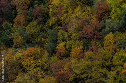 Paesaggio autunnale