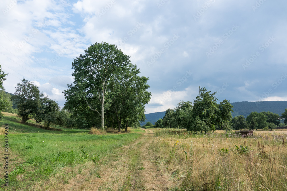 Fototapeta premium Landschaft im Spessart