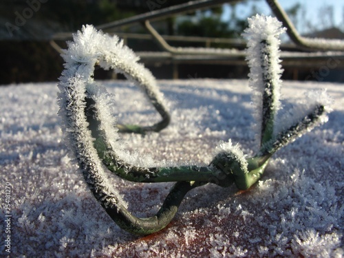 snowflakes macro