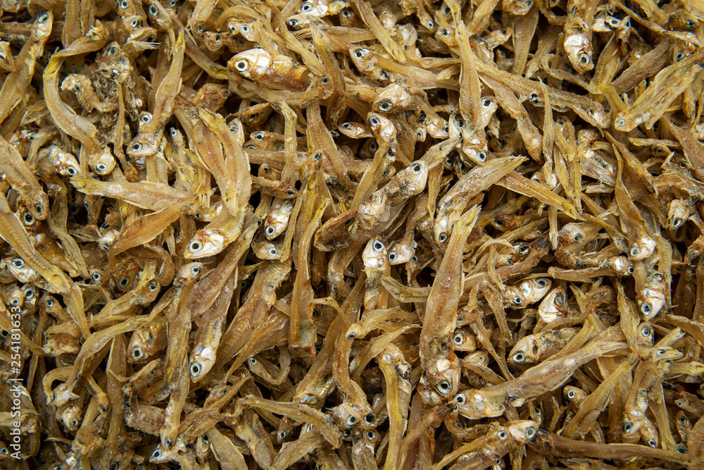 Salted sun dried fish in the market