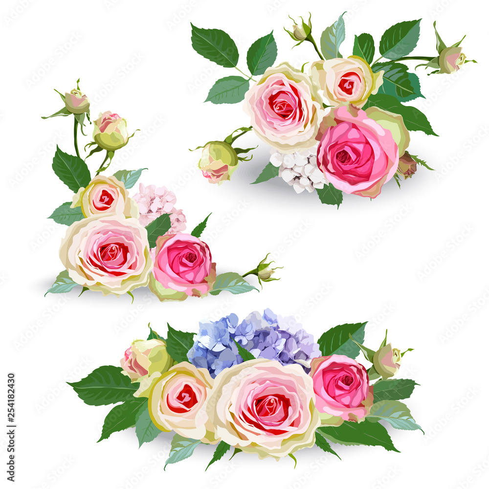 Fototapeta Hortensia kwitnie z różami i liśćmi. Set odosobneni editable kwieciści przedmioty na białym tle.