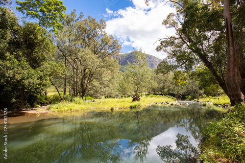 Forest Park Picnic Area QLD