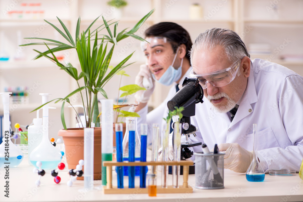 Two chemists working in the lab Two chemists working in the lab
