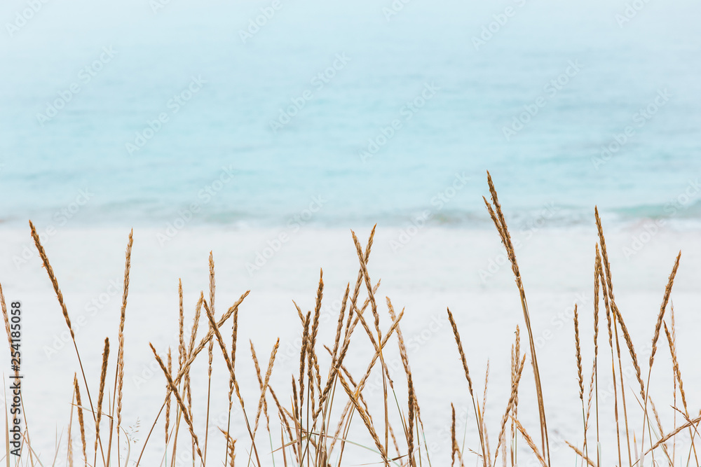 Summer landscape travel minimal background nature calm scenic view Summer landscape travel minimal background nature calm scenic view