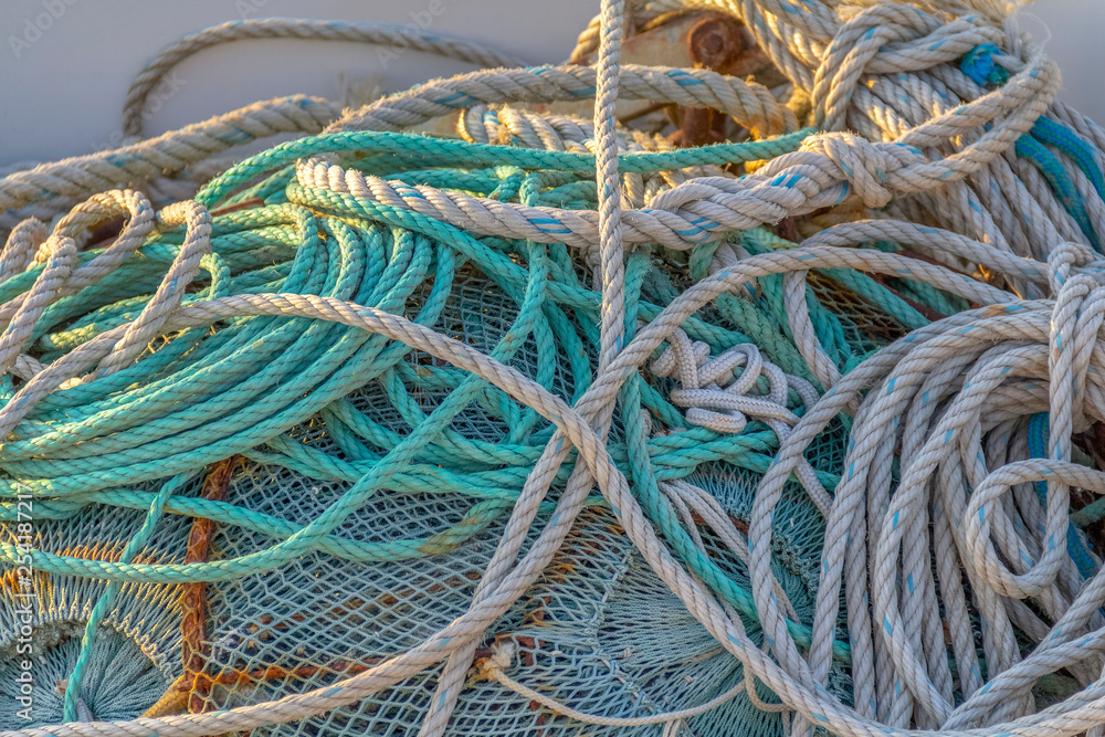 fishing net entanglement