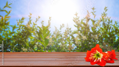 Summer light background with landscape  plants  sky and sun and a lying red hibiscus flower on brown wooden plank desk table background texture