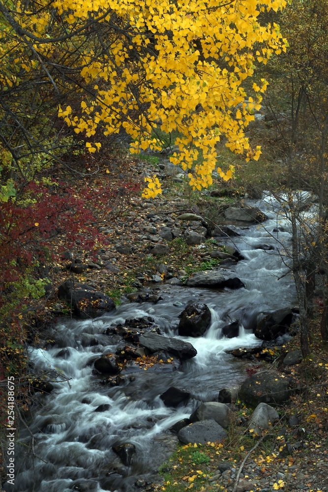 Autumn forest and village photos.savsat/artvin turkey 