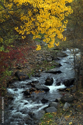 Autumn forest and village photos.savsat/artvin turkey 