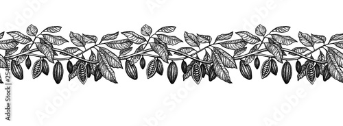 Seamless illustration of cocoa. 