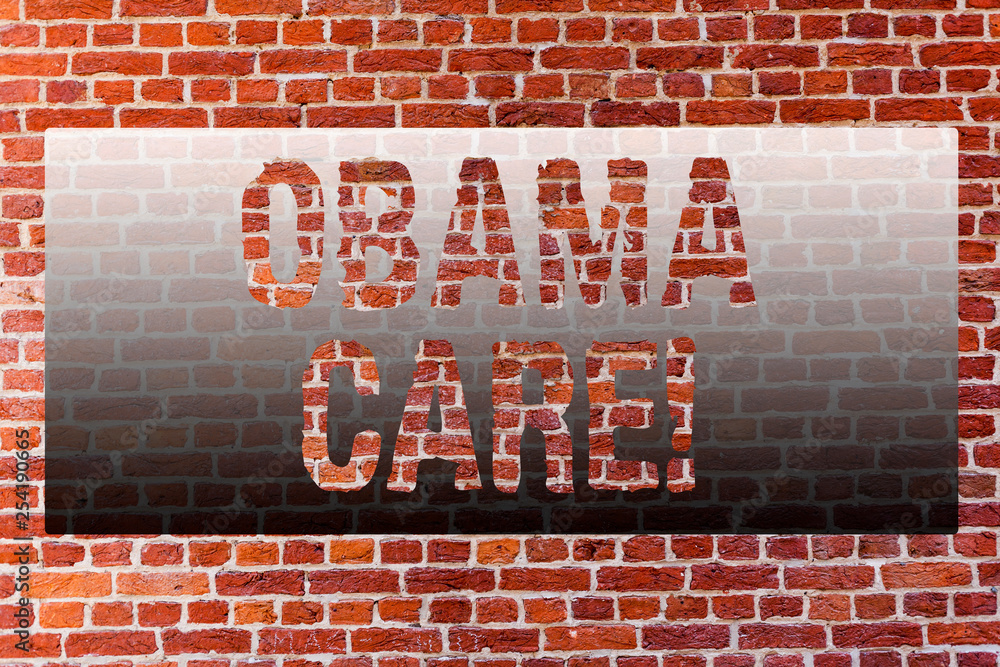 Fototapeta premium Word writing text Obama Care. Business photo showcasing Government Program of Insurance System Patient Protection Brick Wall art like Graffiti motivational call written on the wall