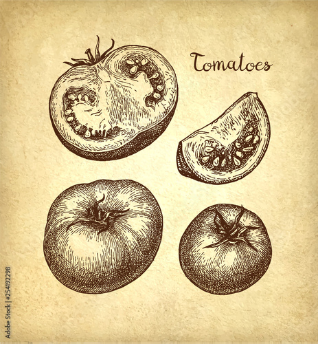 Ink sketch of tomatoes.