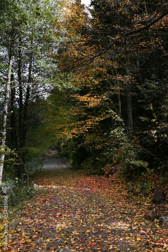 Autumn forest and village photos.savsat/artvin turkey © murat
