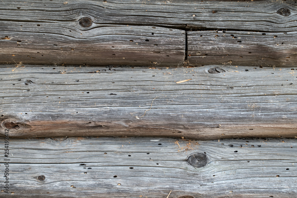 old tree. wooden house in termites. texture. old tree. wooden house in termites. texture.