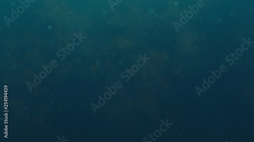 dark blue underwater background with particles hovering in the water