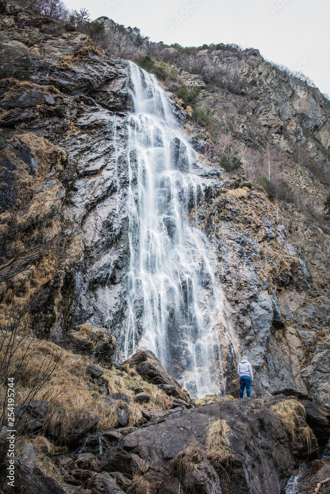 Obraz premium pisse vache