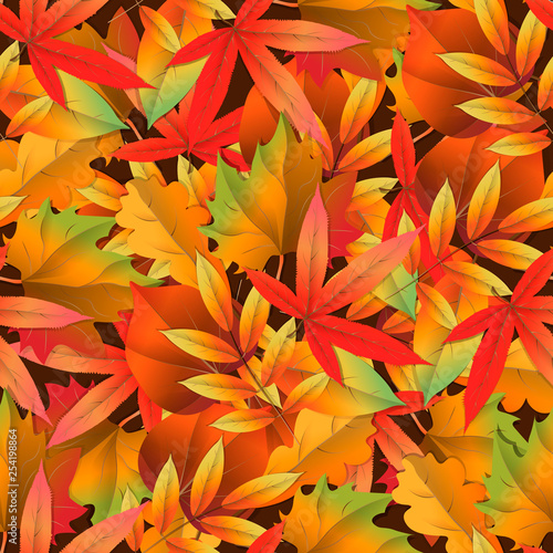 Seamless pattern with colorful autumn leaves. Vector illustration.